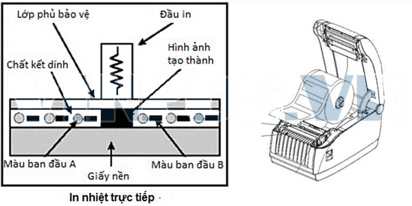 Nguyên lý làm việc của máy in mã vạch