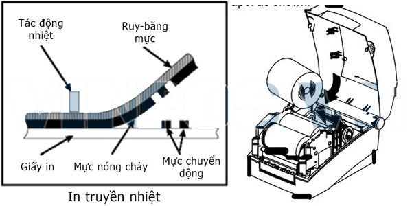 Nguyên lý làm việc của máy in mã vạch