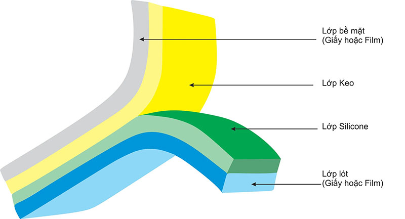 Cấu tạo giấy in tem