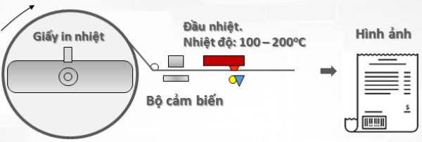 Cấu tạo của giấy in tem nhiệt